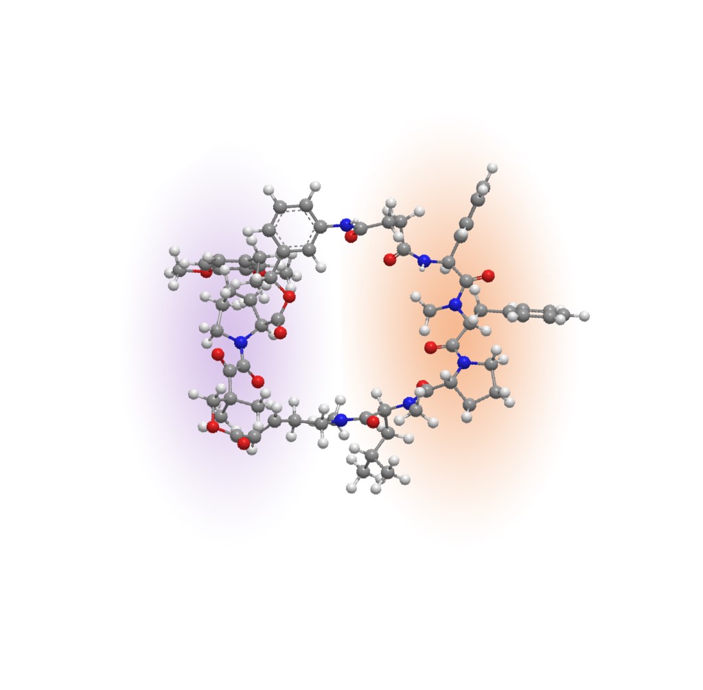 Rapadocin molecule